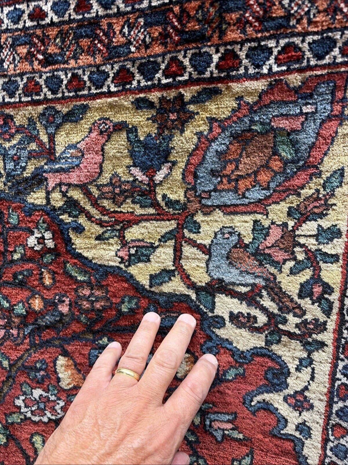 Auth: Antique Baktiari    RARE  BiBi BAFT     Bird Sanctuary      Organic 5x7 NR