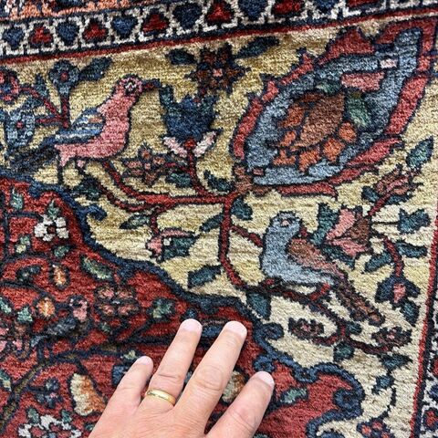 Auth: Antique Baktiari    RARE  BiBi BAFT     Bird Sanctuary      Organic 5x7 NR